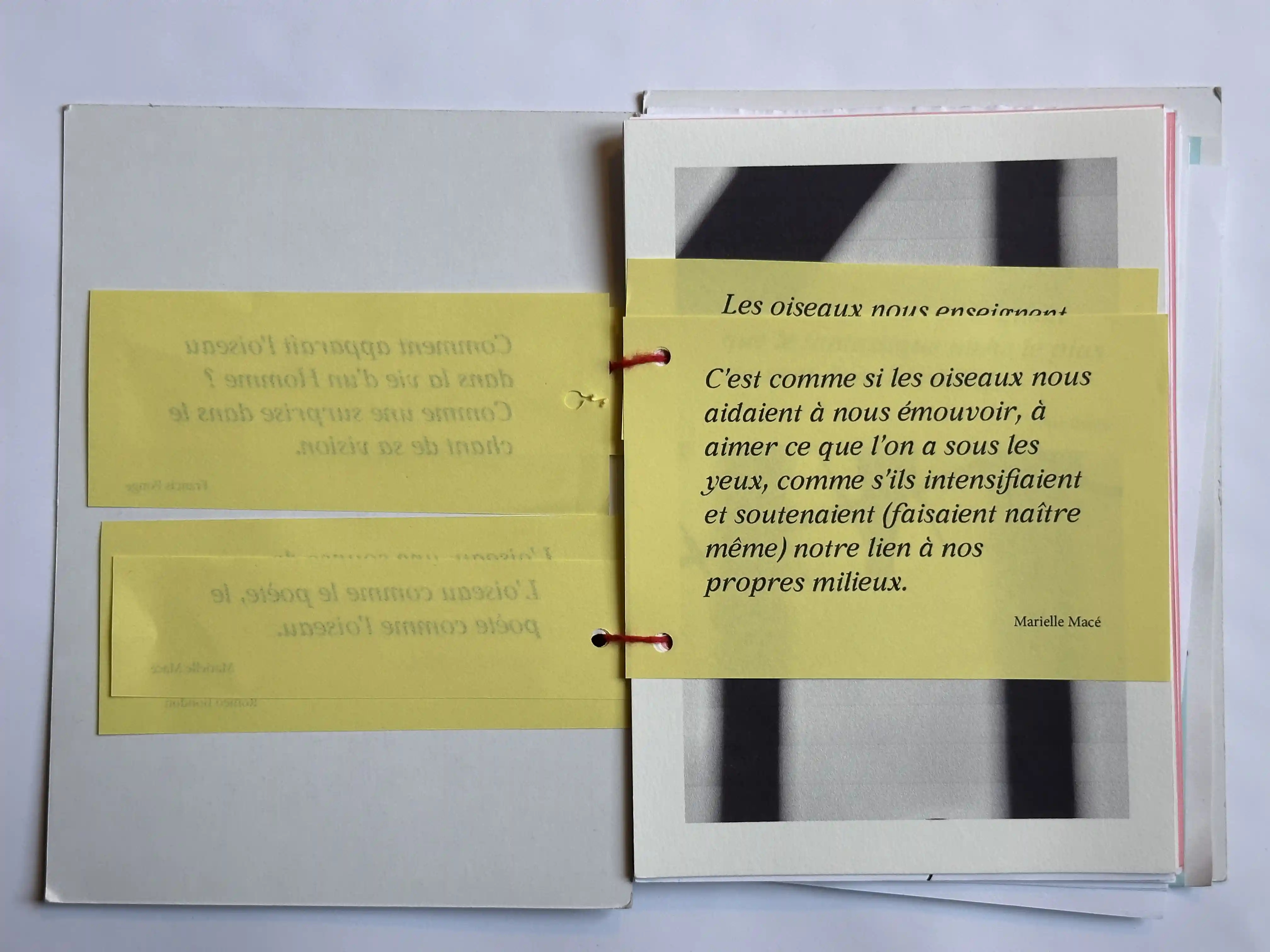 Sillage, photo 1