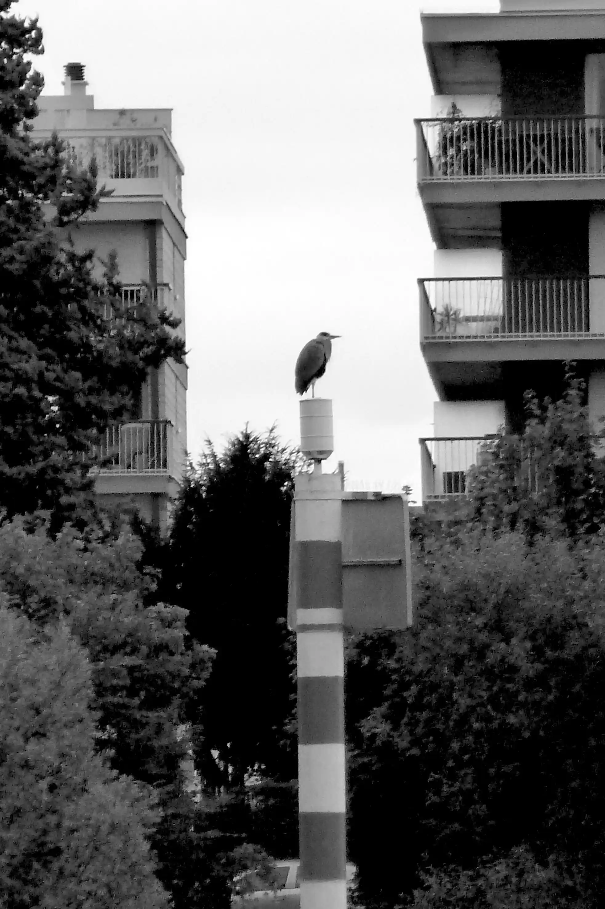 Sillage, photo 1
