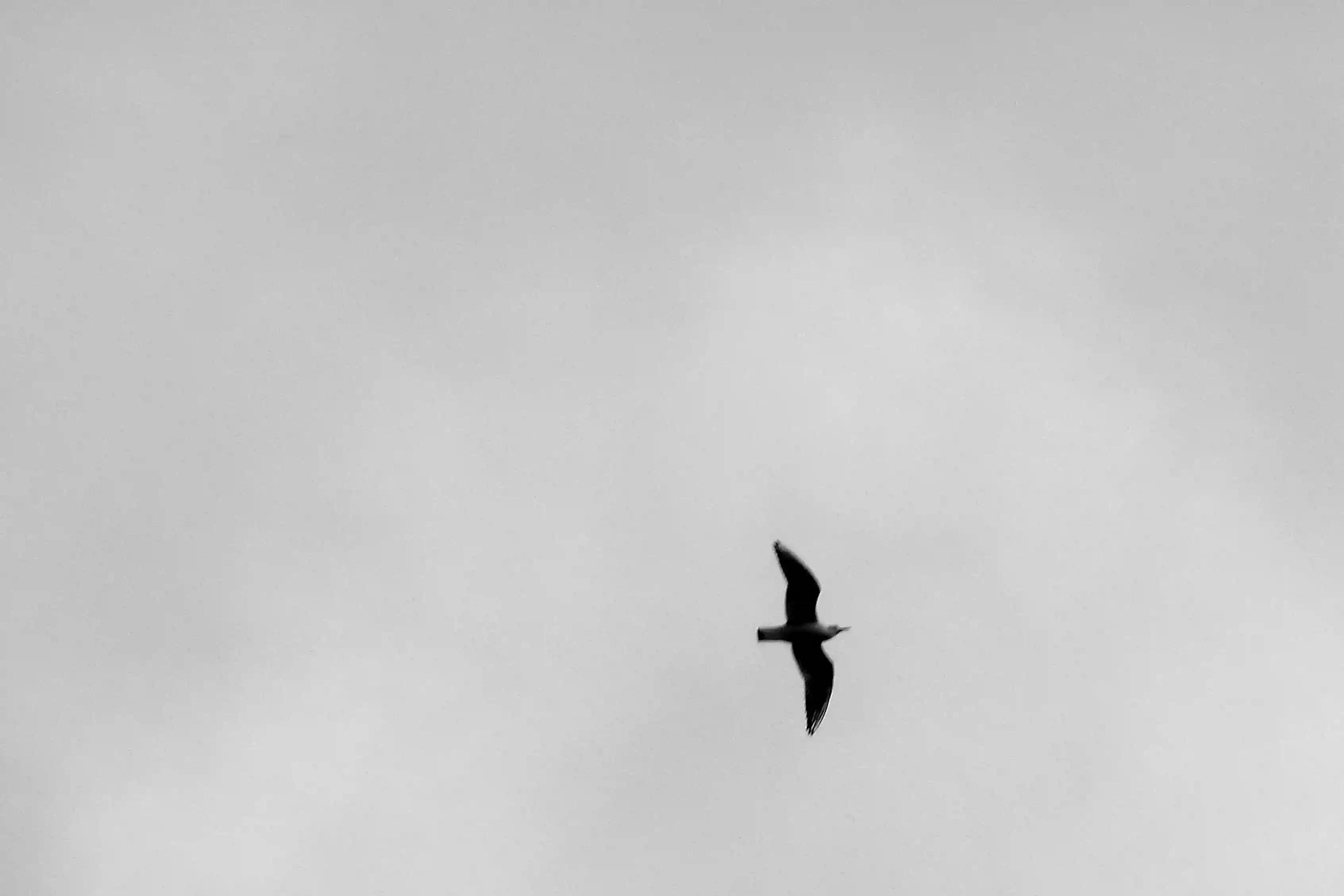 Sillage, photo 1