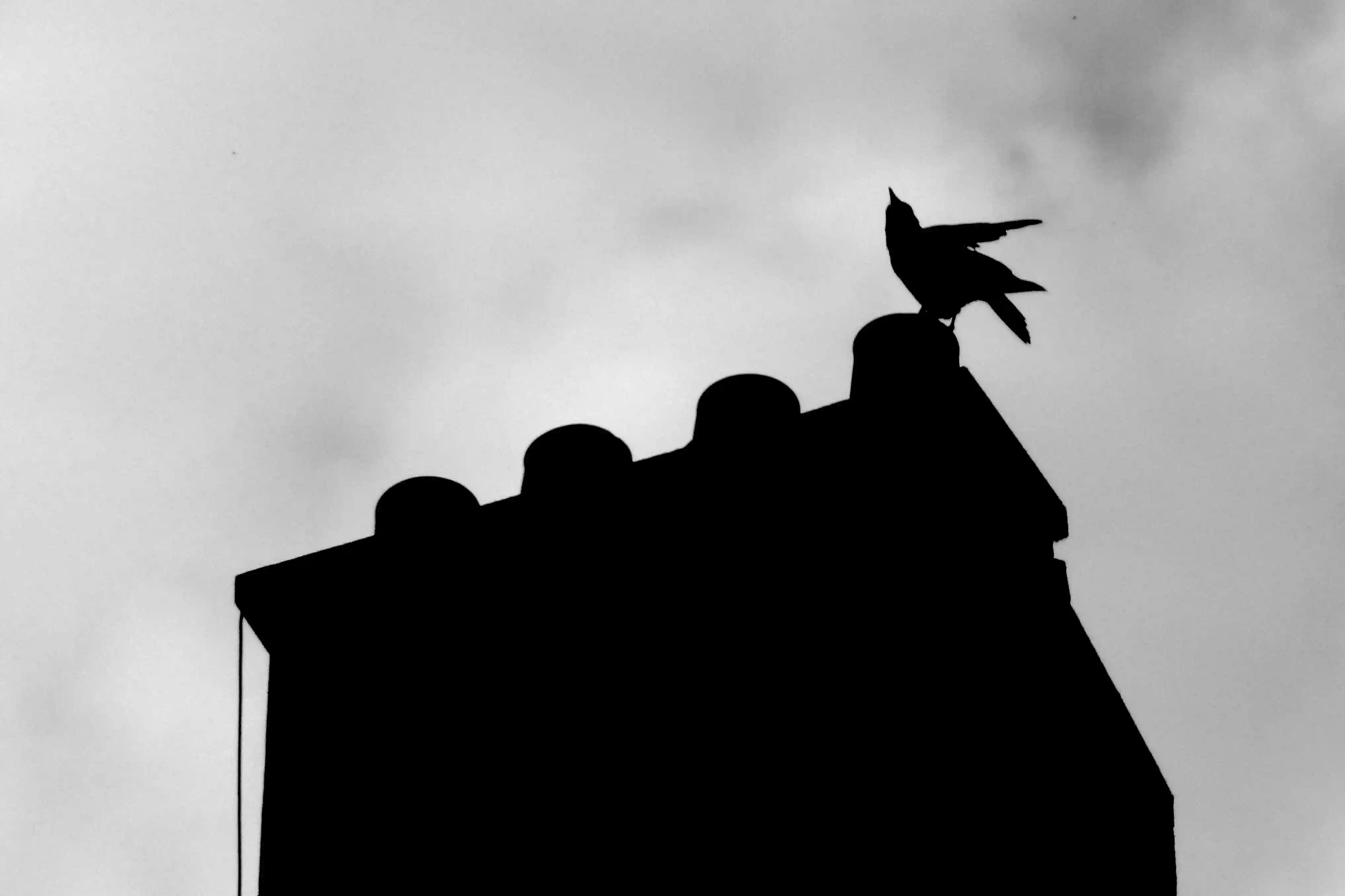 Sillage, photo 1