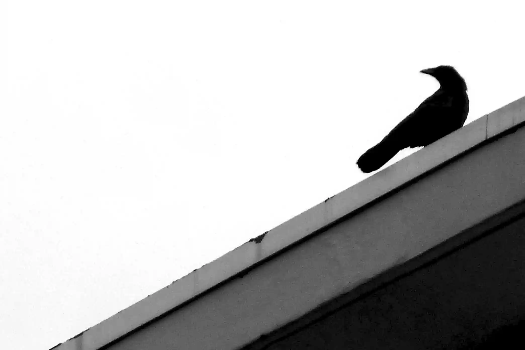 Sillage, photo 1