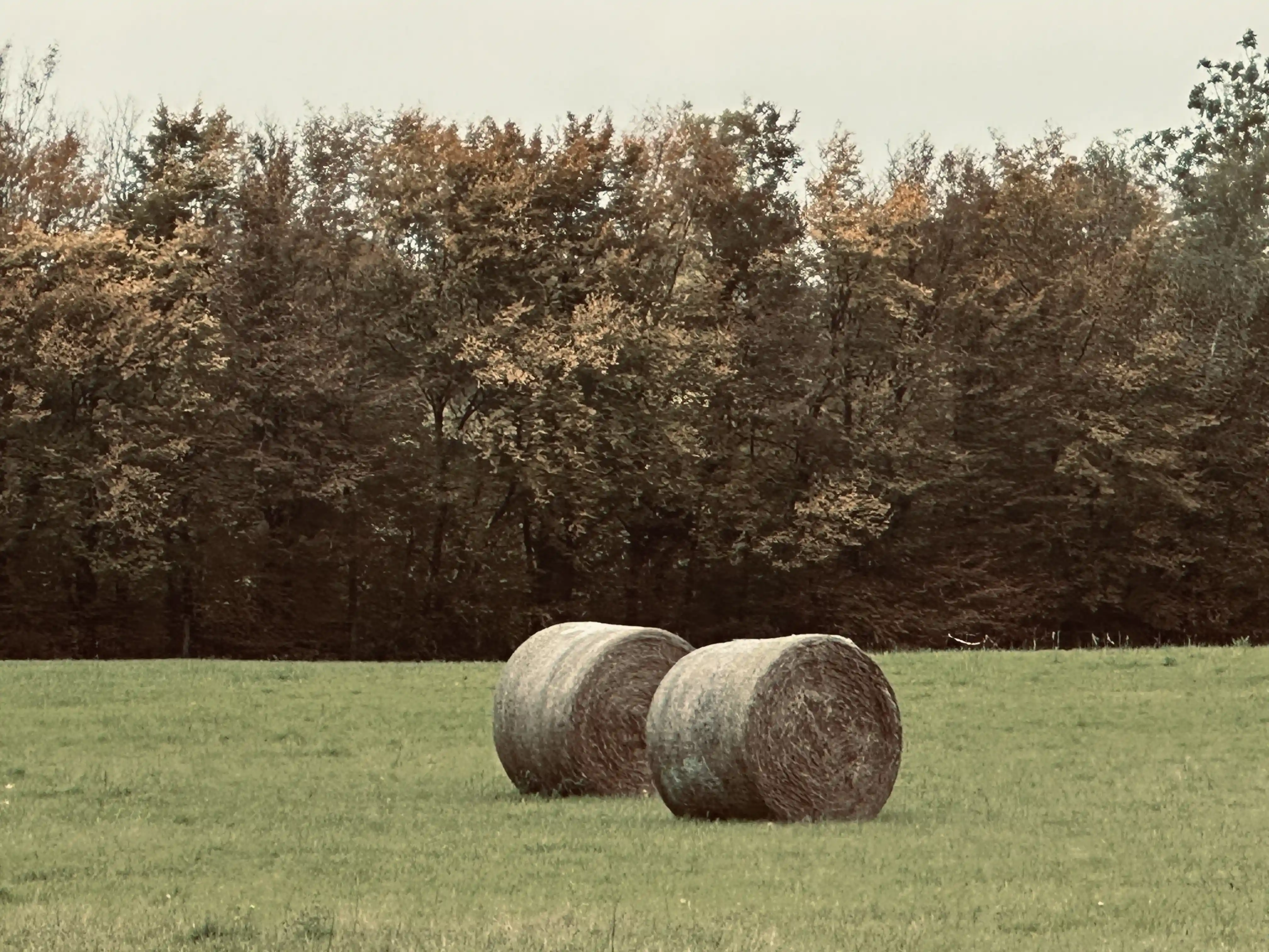 Sillage, photo 1