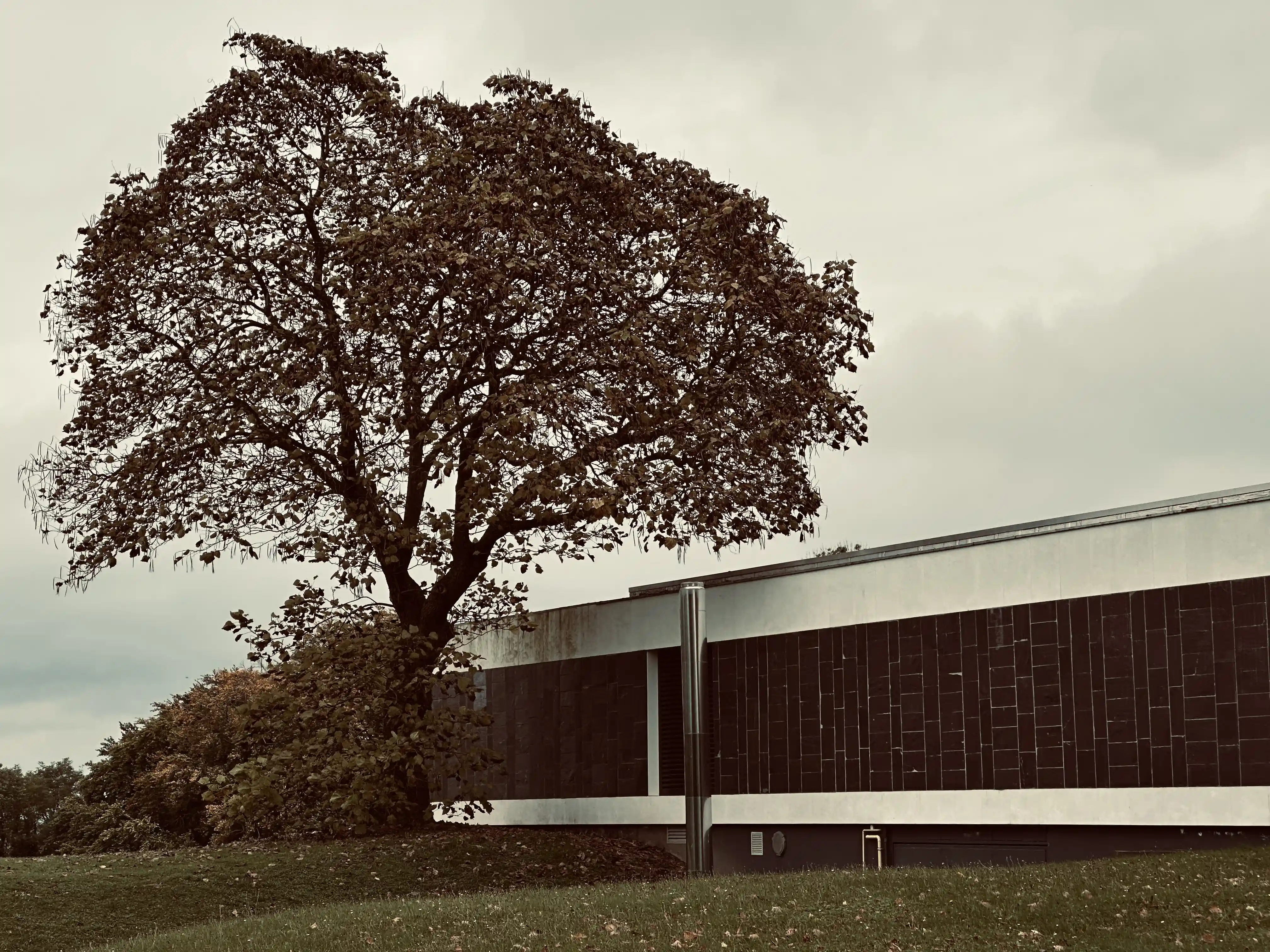 Sillage, photo 1