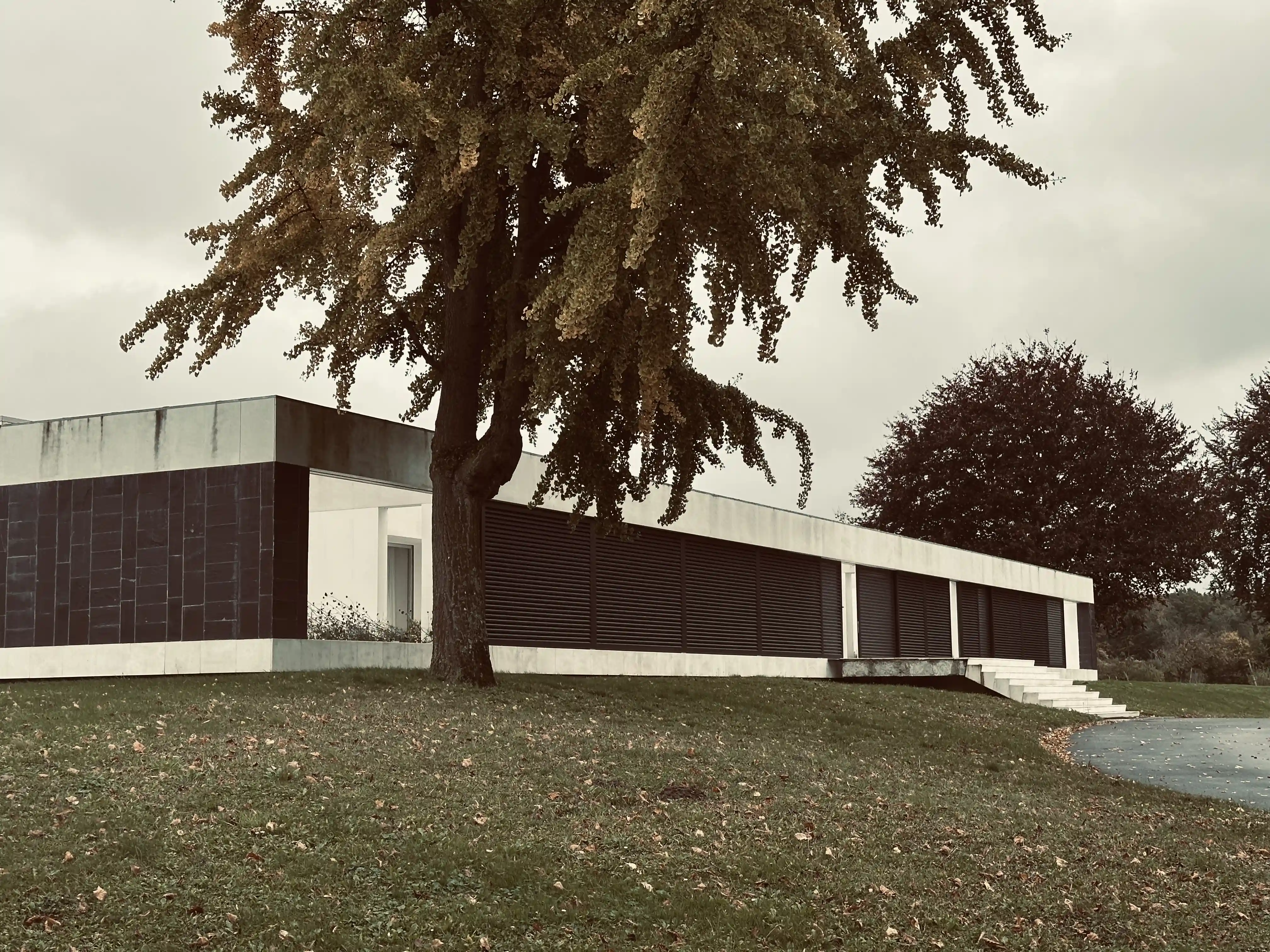 Sillage, photo 1