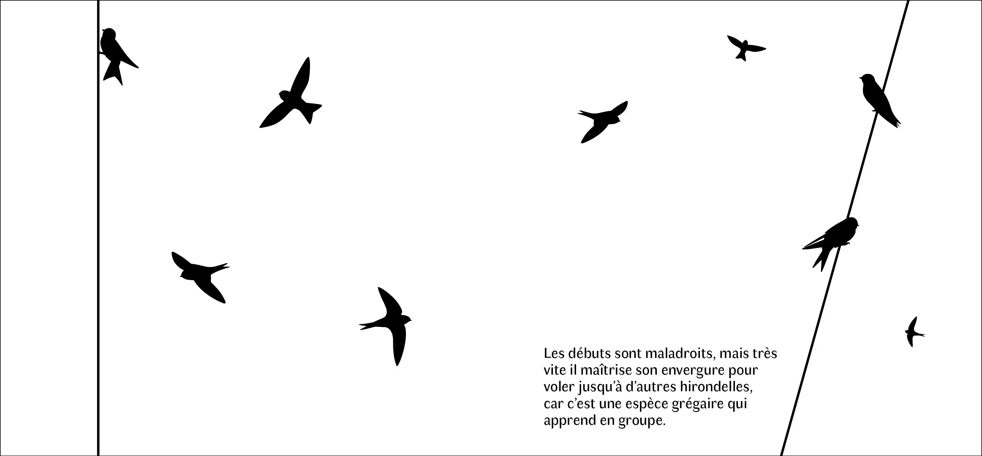 Sillage, photo 1