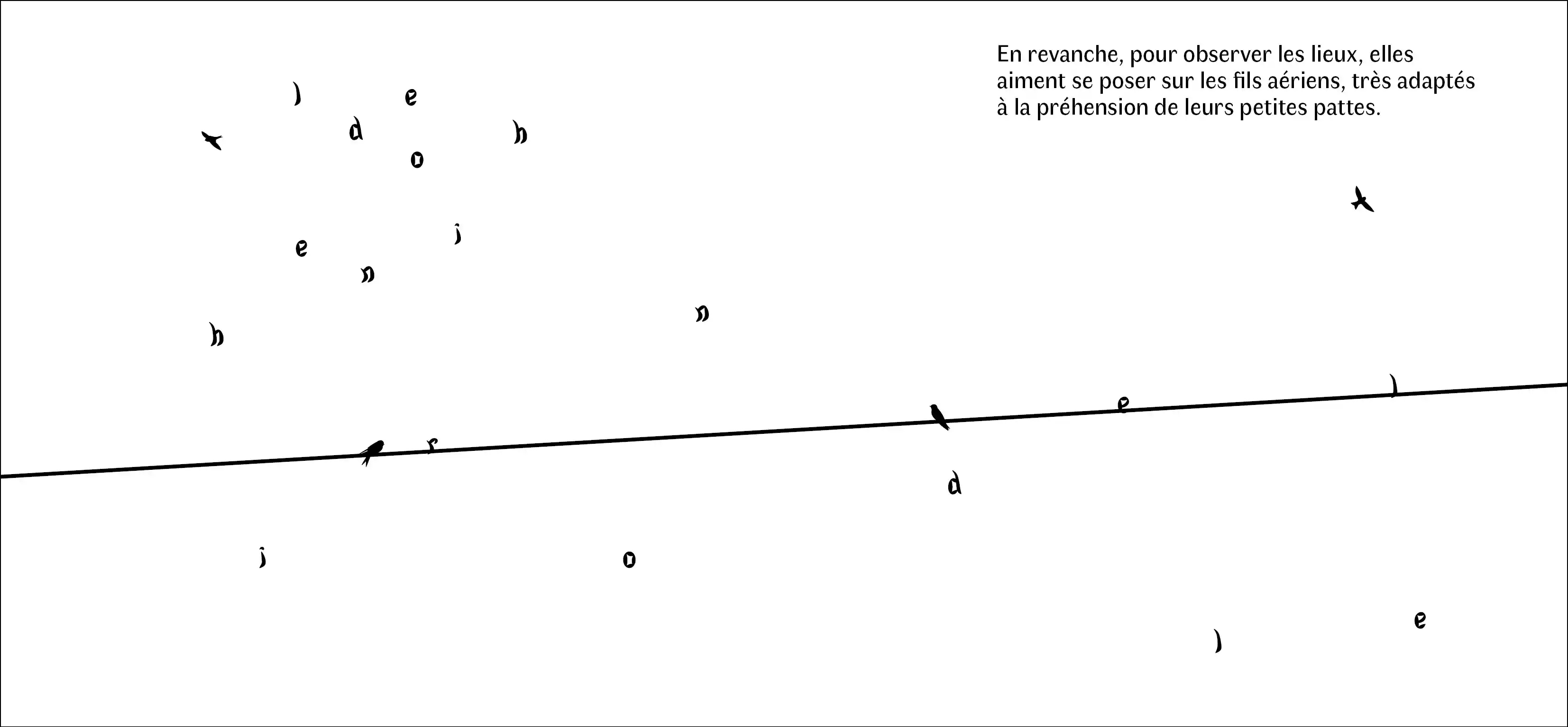 Sillage, photo 1