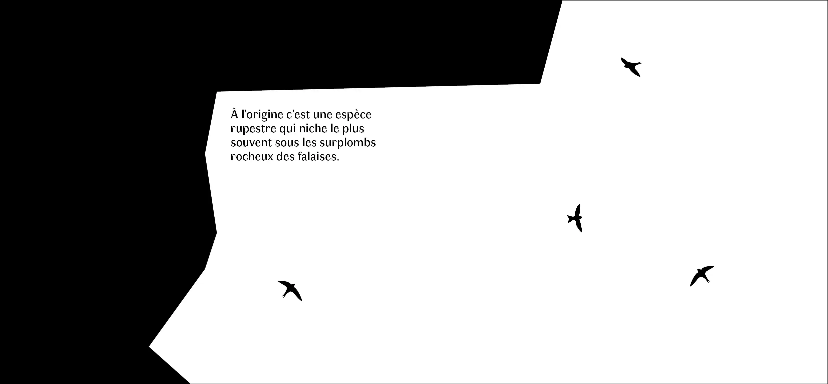 Sillage, photo 1