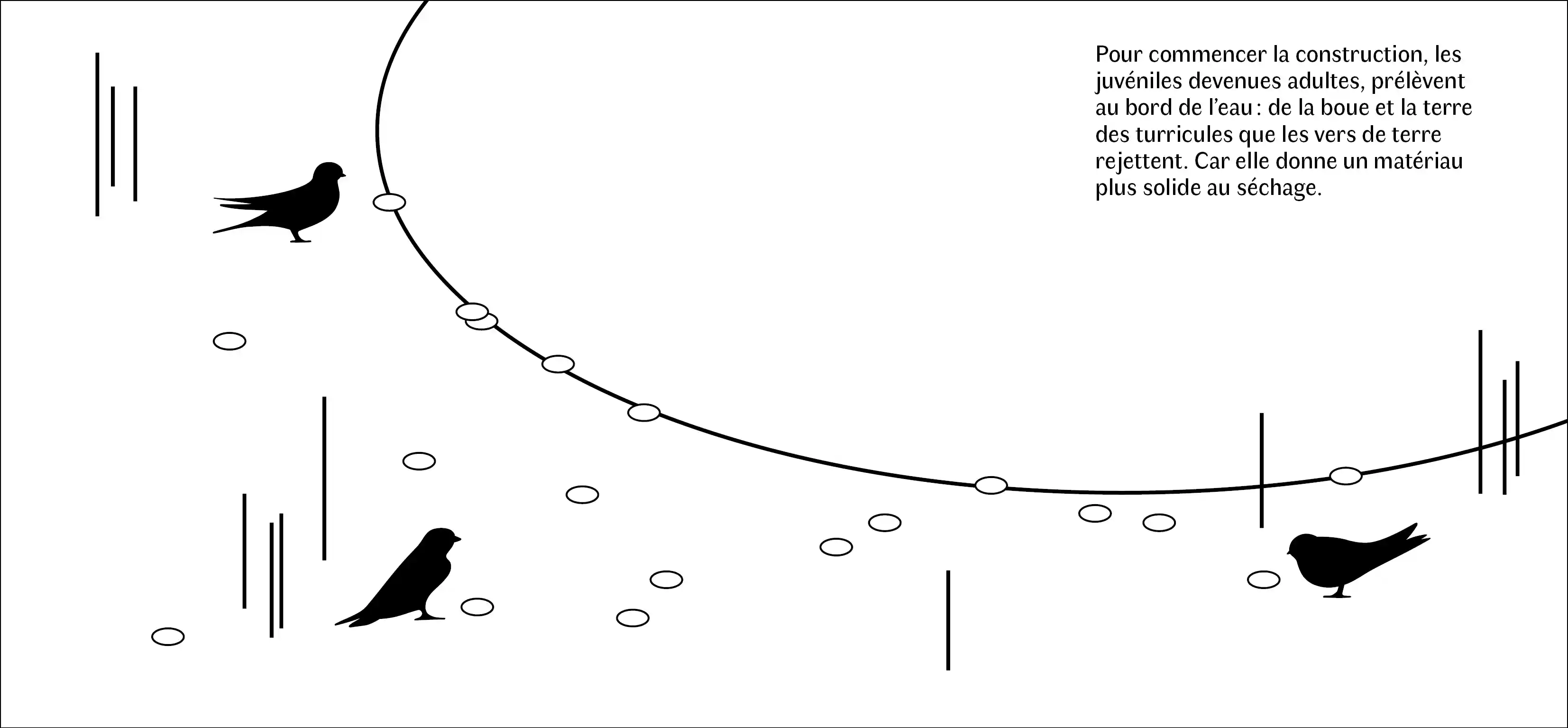 Sillage, photo 1