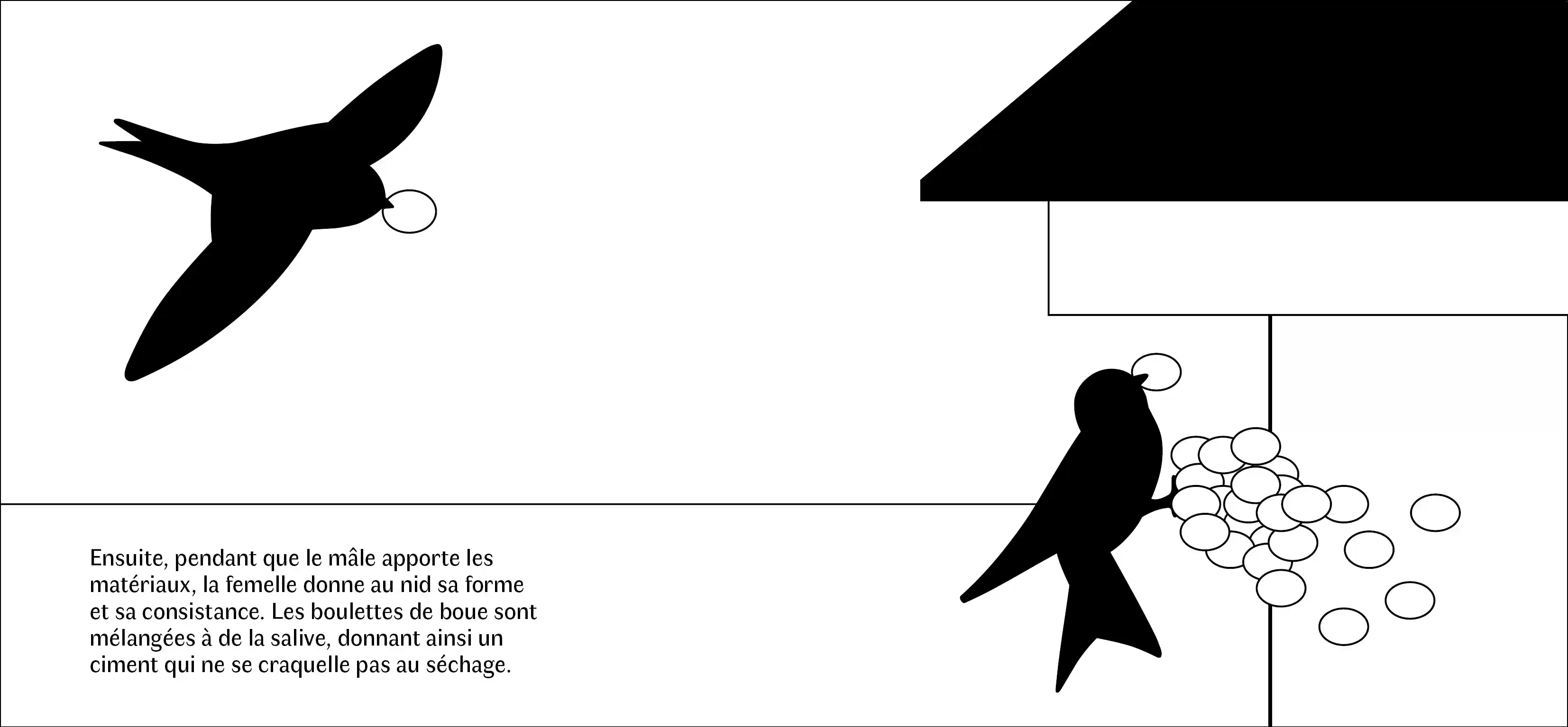 Sillage, photo 1