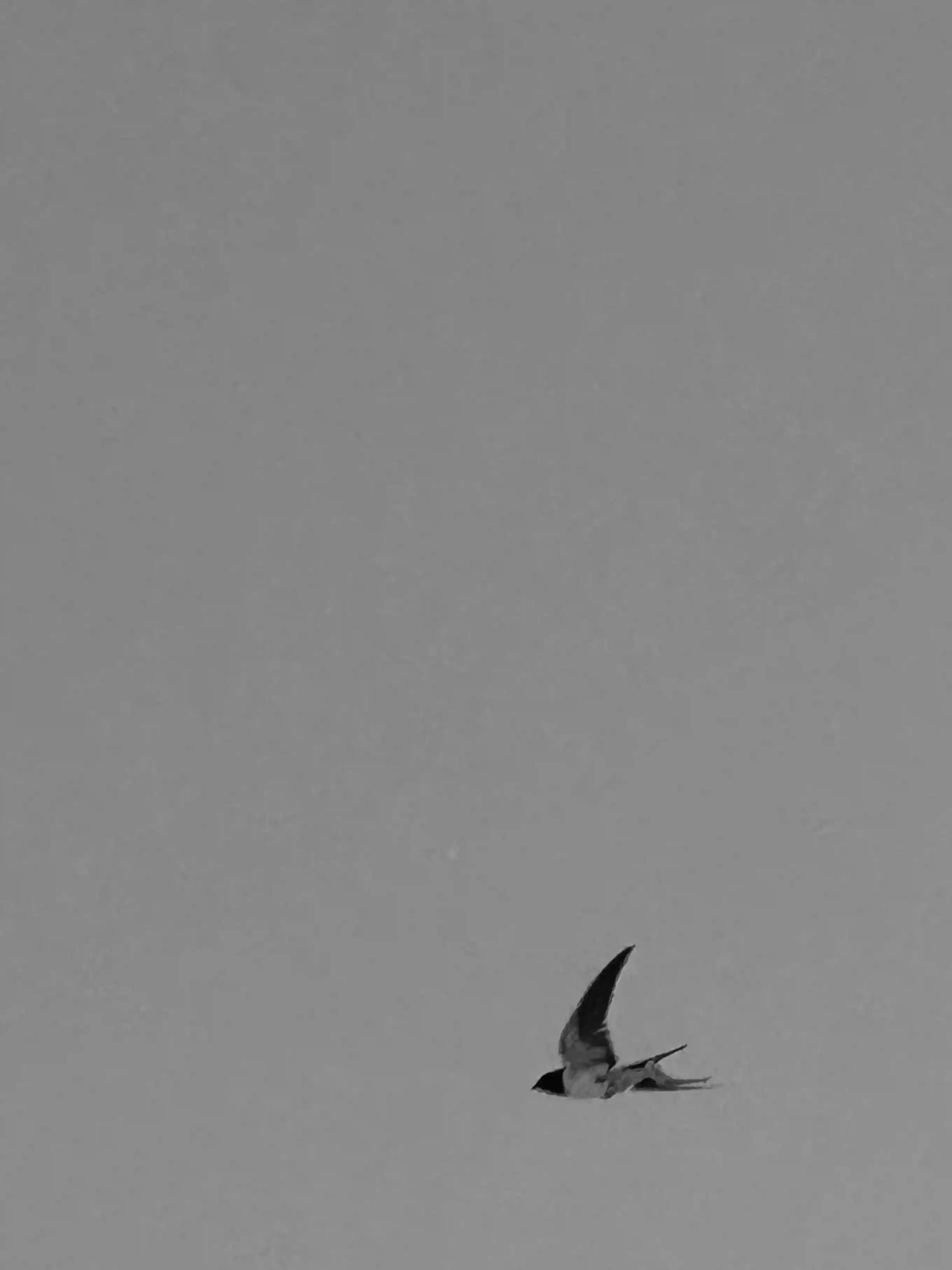 Sillage, photo 1