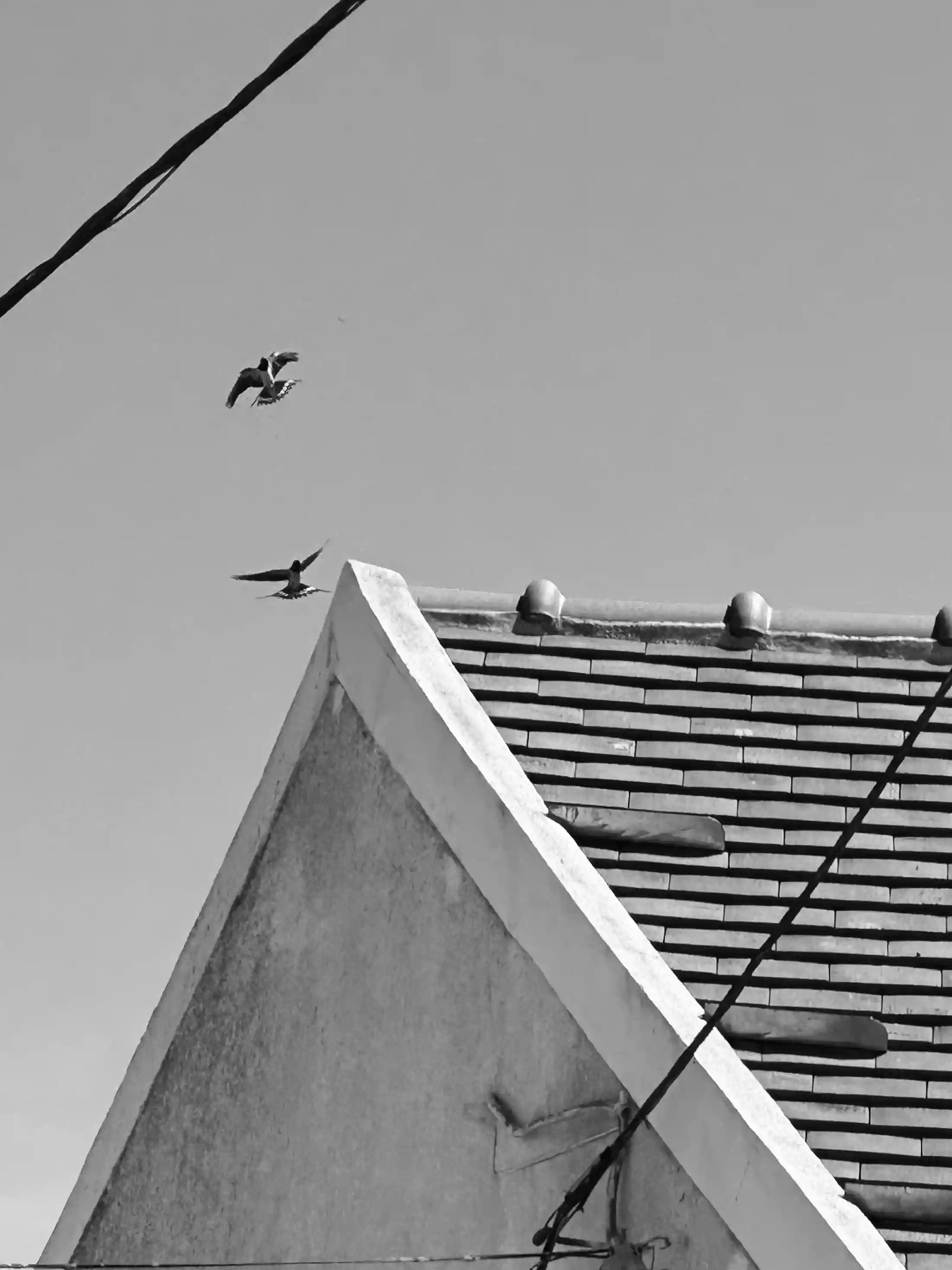 Sillage, photo 1