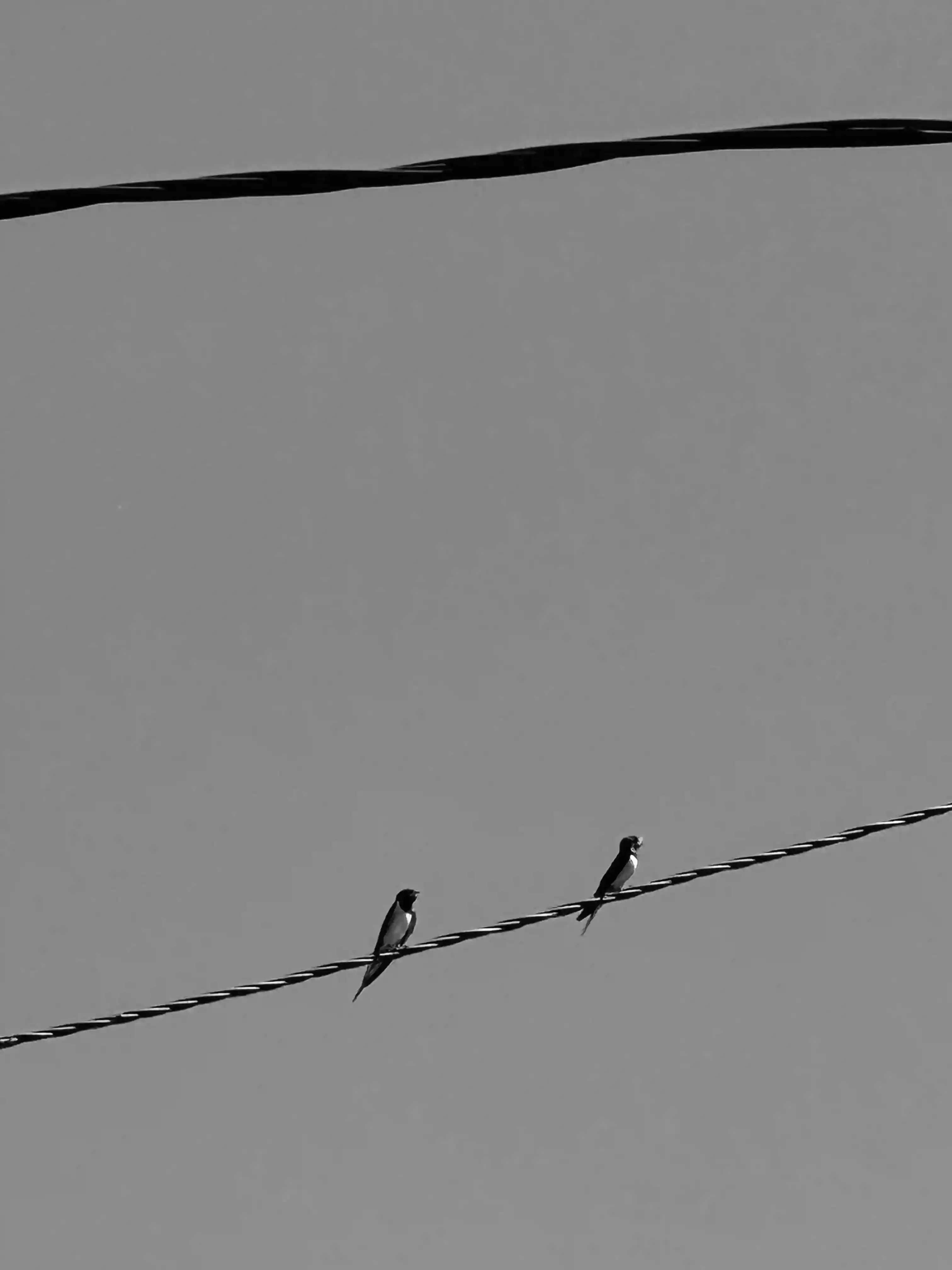 Sillage, photo 1