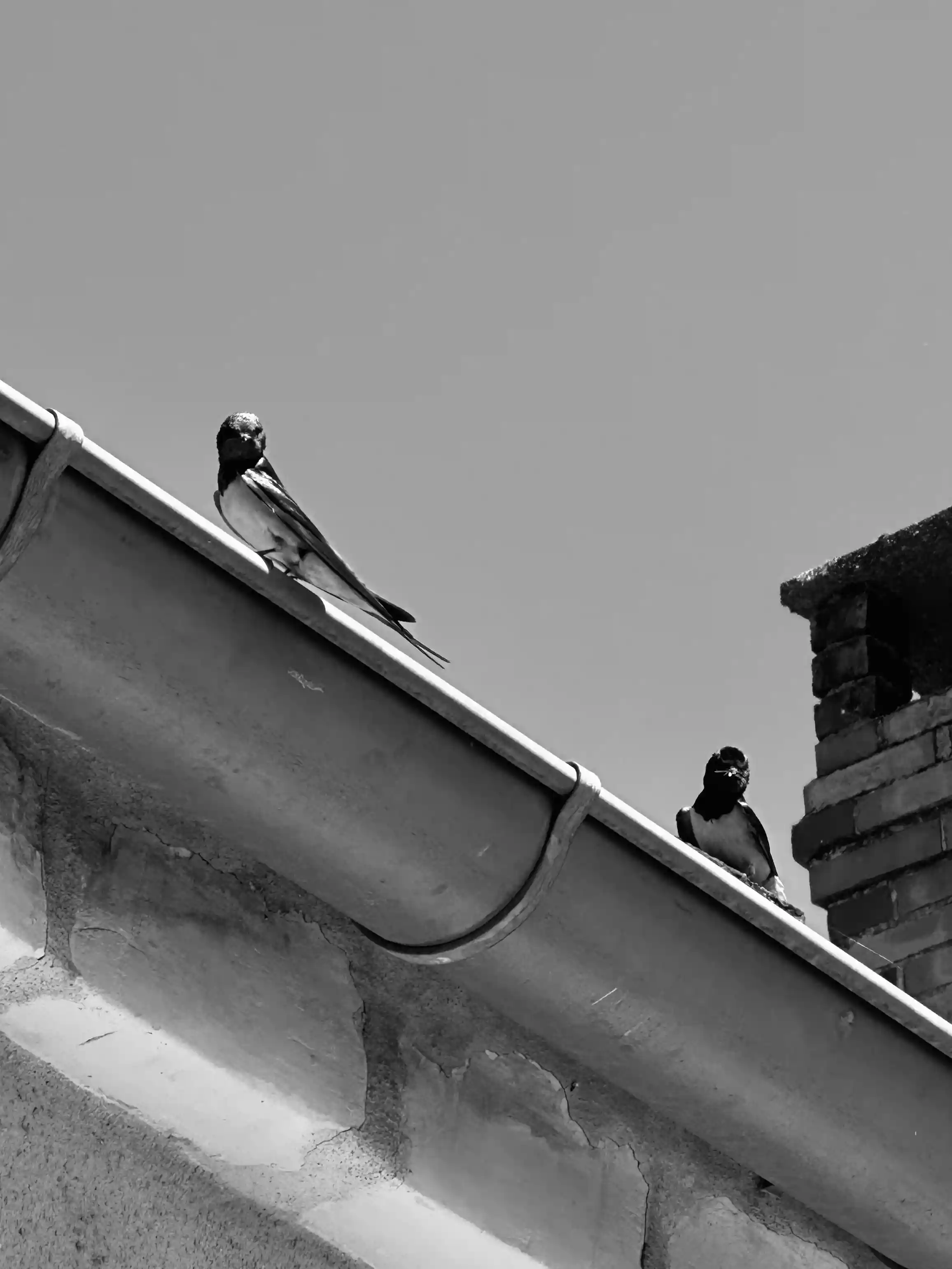 Sillage, photo 1