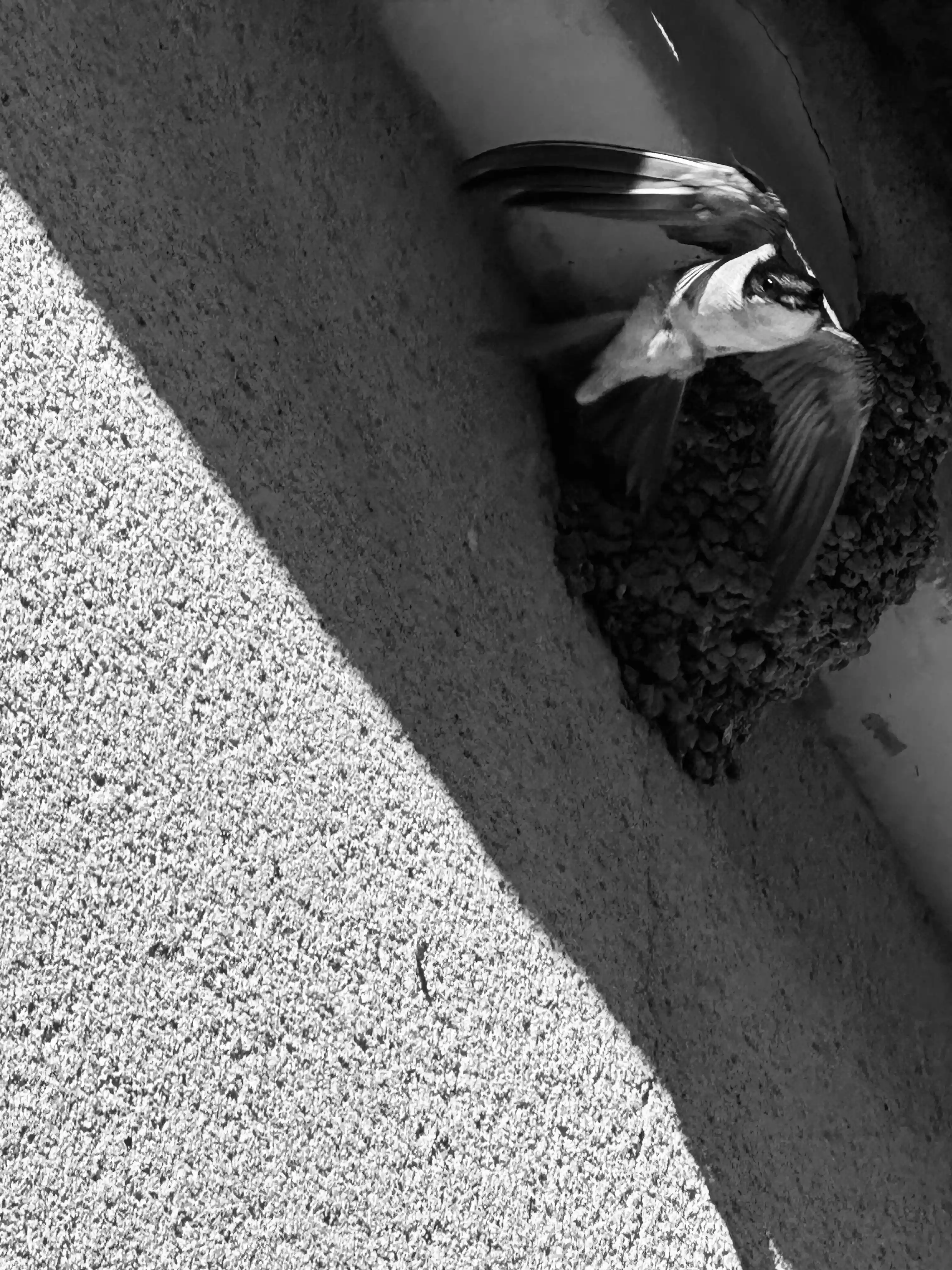 Sillage, photo 1