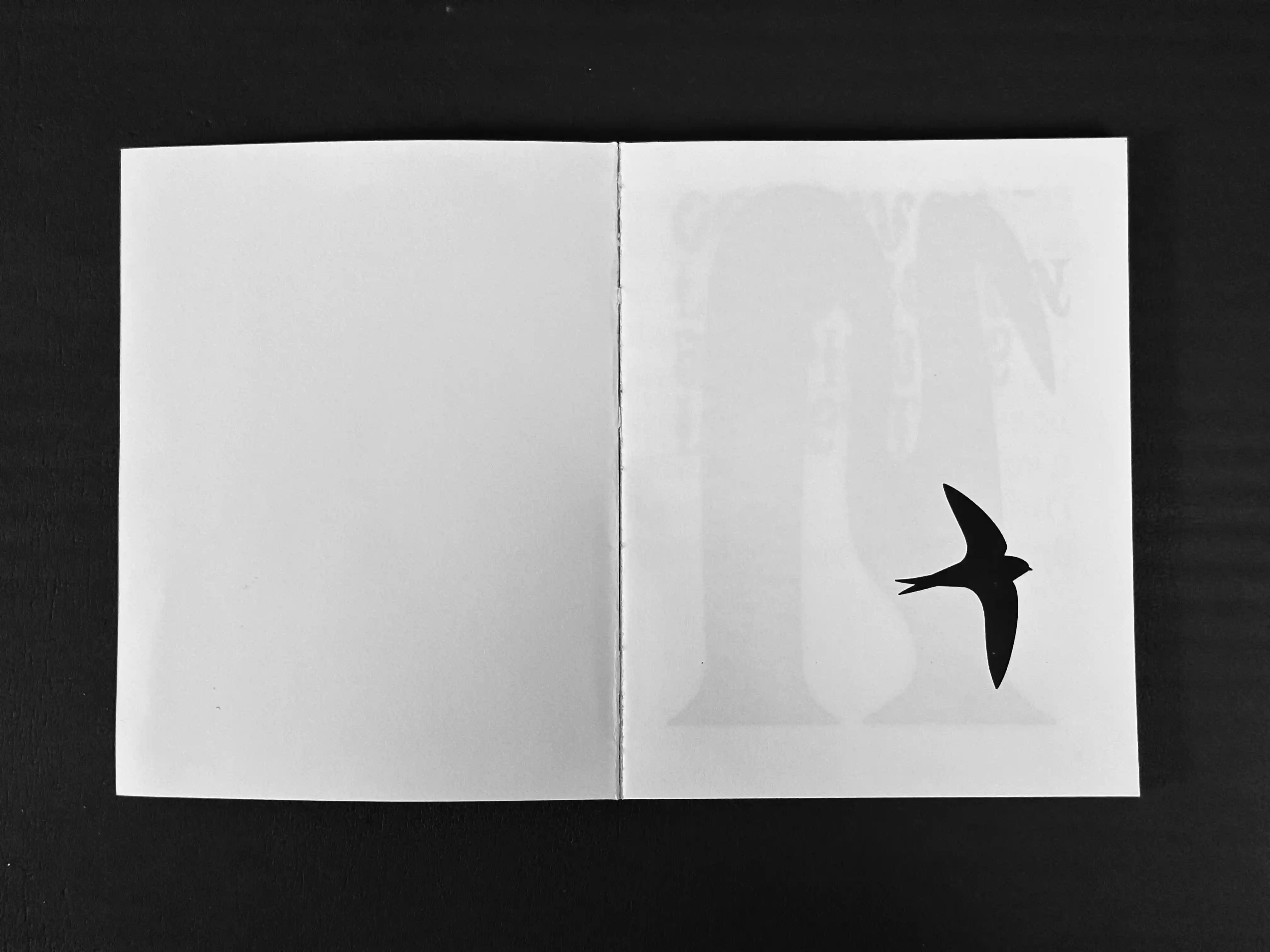 Sillage, photo 1