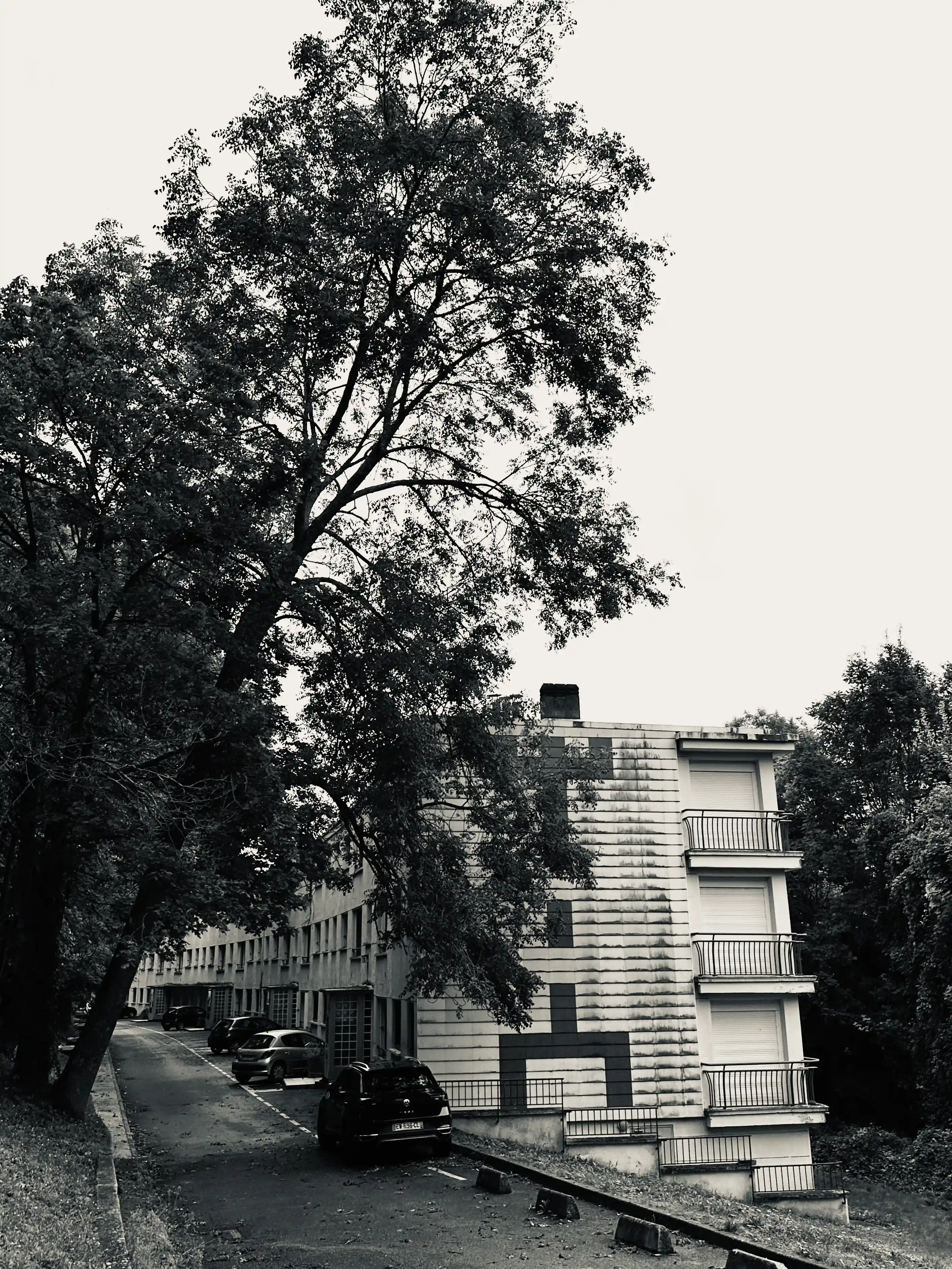 Sillage, photo 1