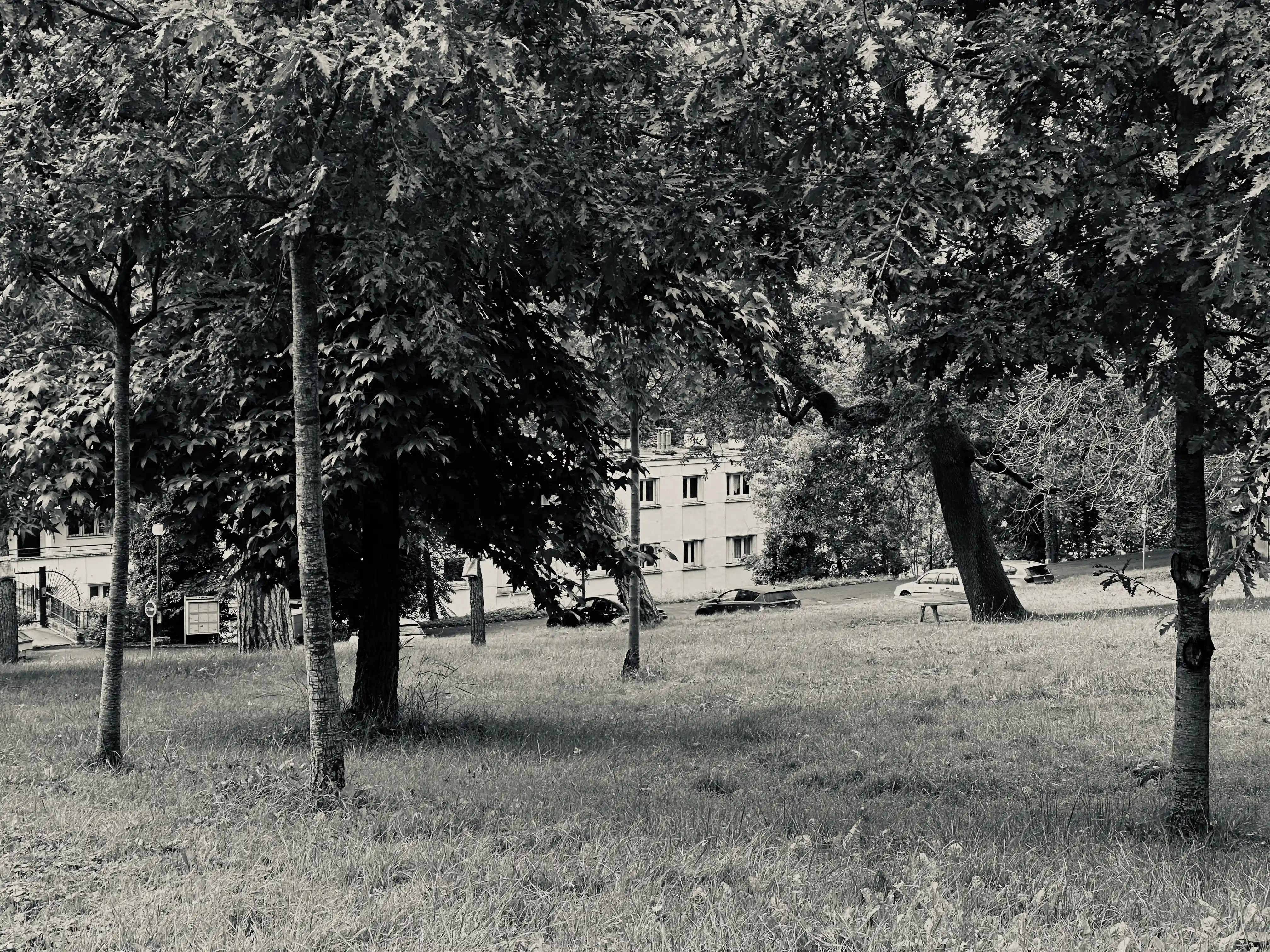 Sillage, photo 1
