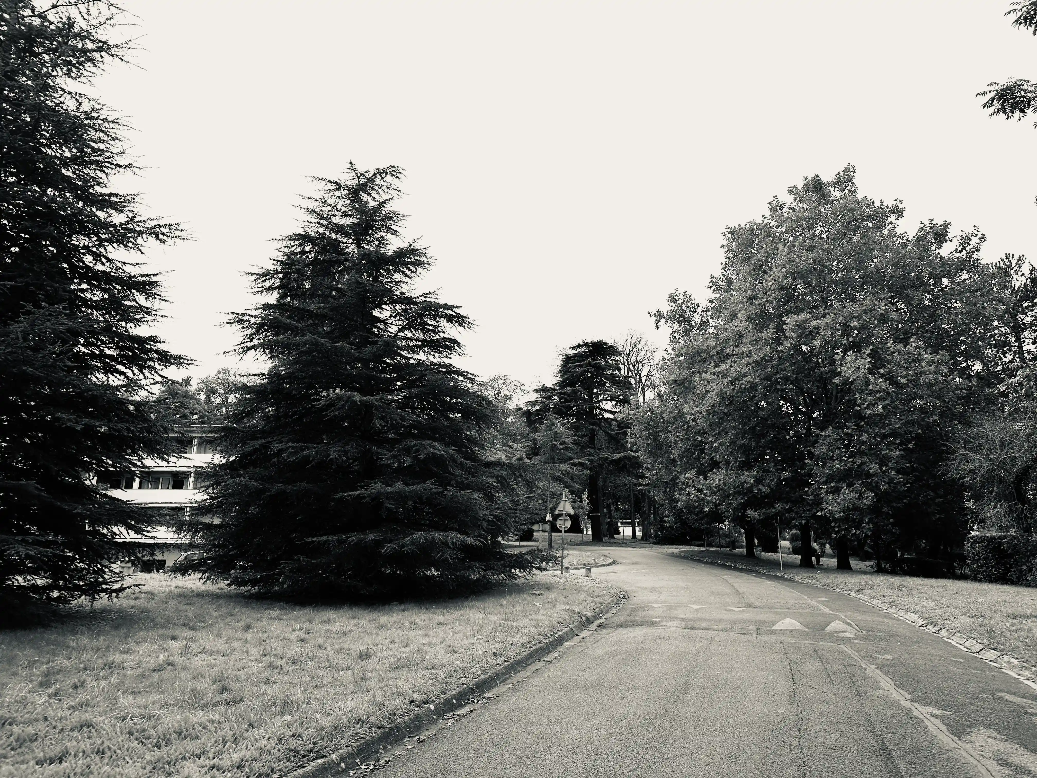 Sillage, photo 1